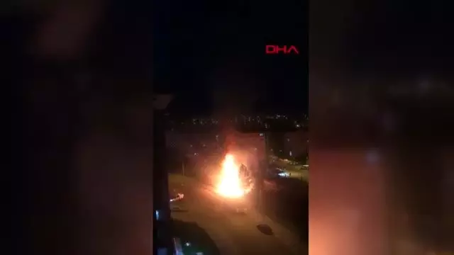 Muhtar, çocukların attığı torpille ağacın yanmasına sosyal medyadan tepki gösterdi