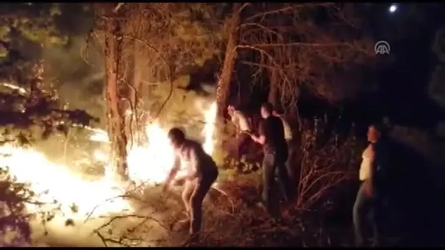 Seyitgazi'de orman yangını çıktı (4)