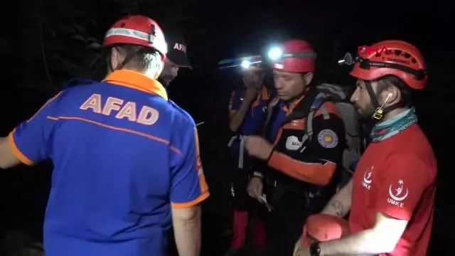 Yaralanan arkadaşını yaprak ve dallardan 'yorgan' yaparak korudu