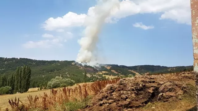 Yozgat'ta 3 hektarlık alan kül oldu - Haberler