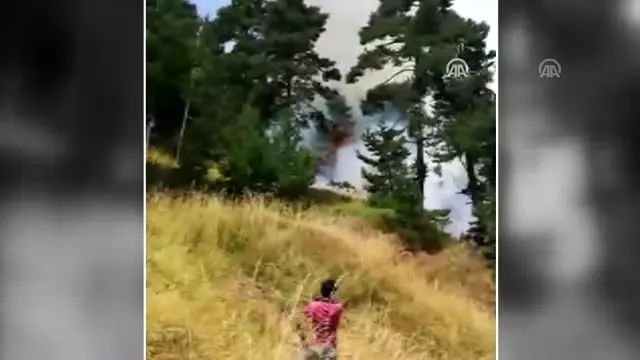 Yozgat'ta orman yangını
