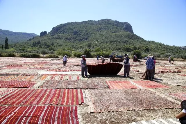 Döşemealtı'nın halı tarlaları dünya basınında
