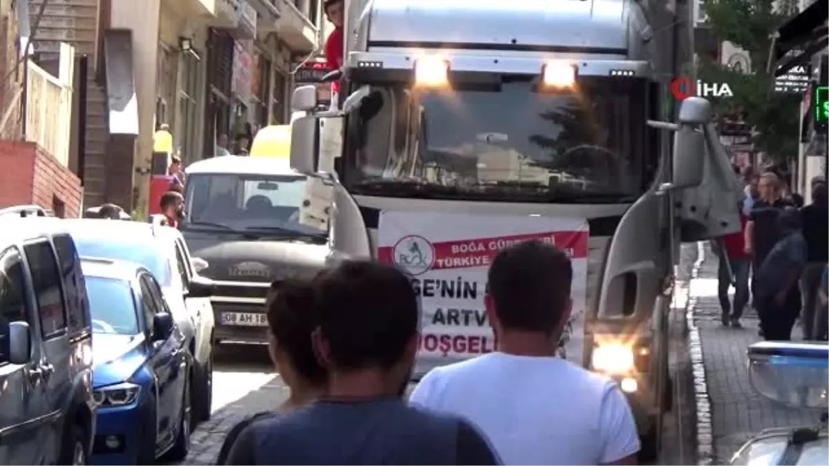 Ege'nin şampiyon boğaları Artvin'de yoğun ilgiyle karşılandı