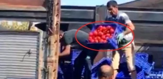 İBB'den, kasa kasa domatesi çöpe atan pazarcılarla ilgili açıklama: Cezası kesilmiştir