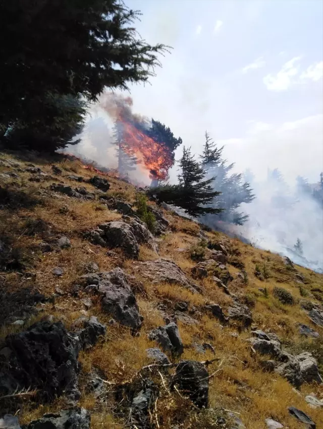 Kahramanmaraş'taki yangında bir ev kullanılamaz hale geldi Kahramanmaraş'taki yangında bir ev kullanılamaz hale geldi