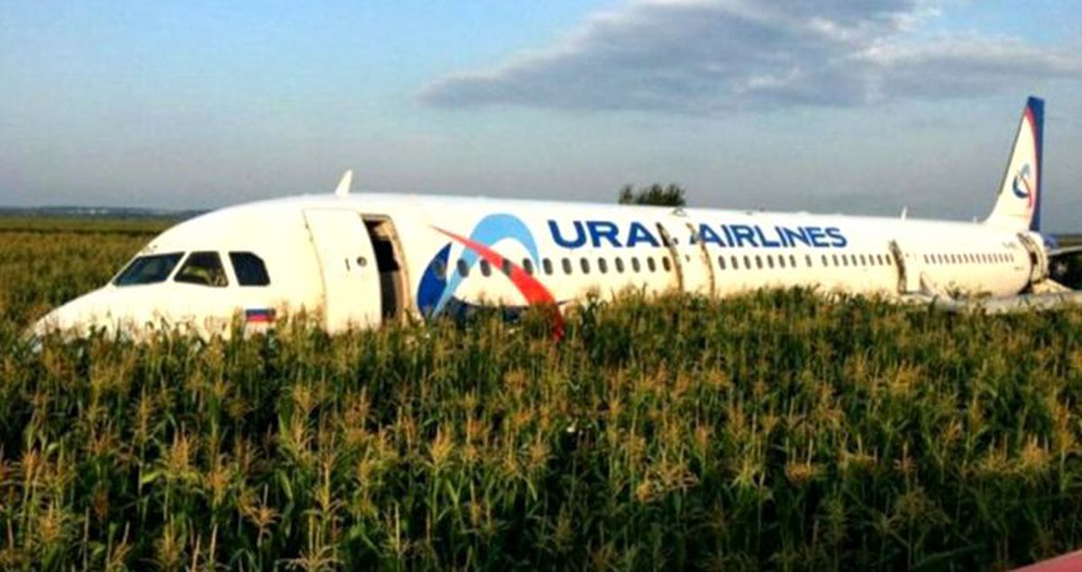 Kuş sürüsüne denk gelen Rus yolcu uçağı mısır tarlasına acil iniş yaptı! 23 yaralı