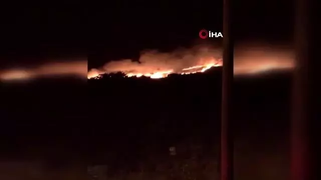 Samandağ'da çıkan yangın kontrol altına alındı