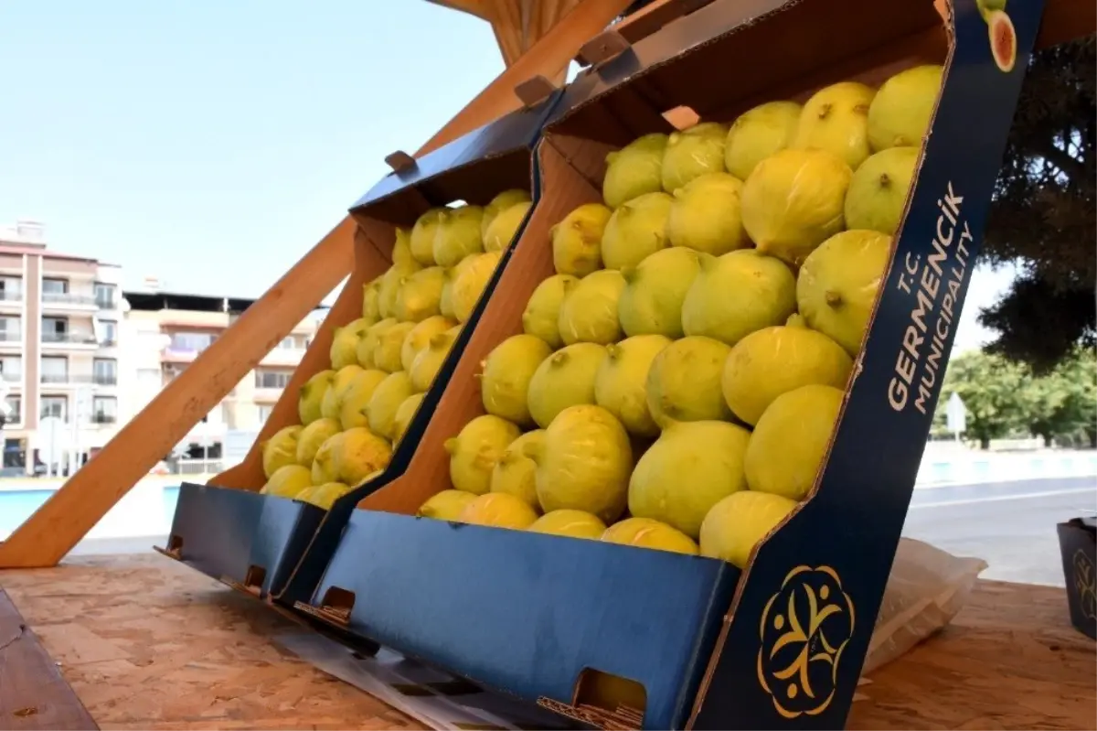 Germencik tanıtılacak, çiftçi kazanacak