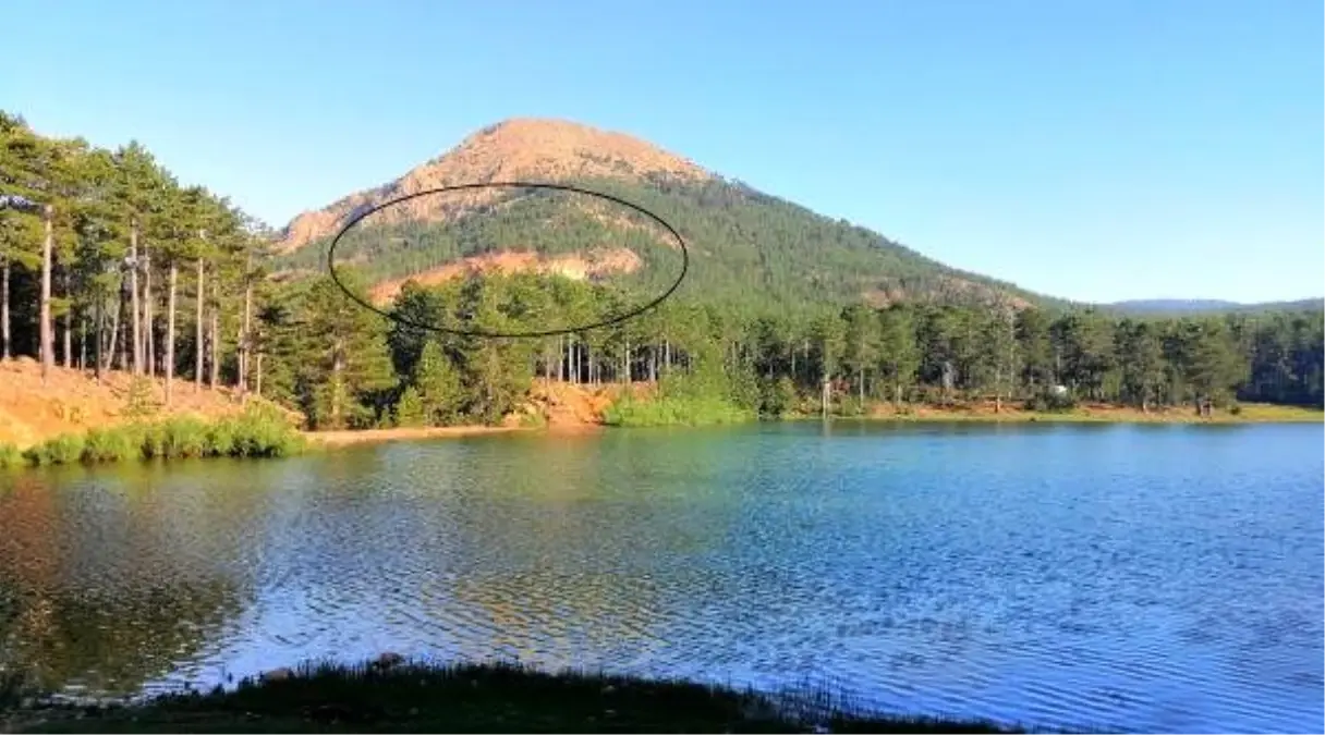 Çevrecileri sevindiren karar