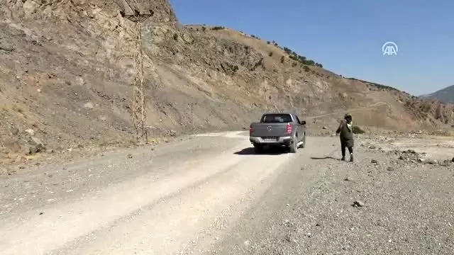 Dağ keçilerini koruma nöbeti Dağ keçilerini koruma nöbeti