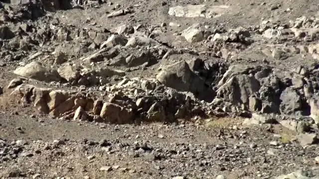 Dağ keçilerini koruma nöbeti Dağ keçilerini koruma nöbeti
