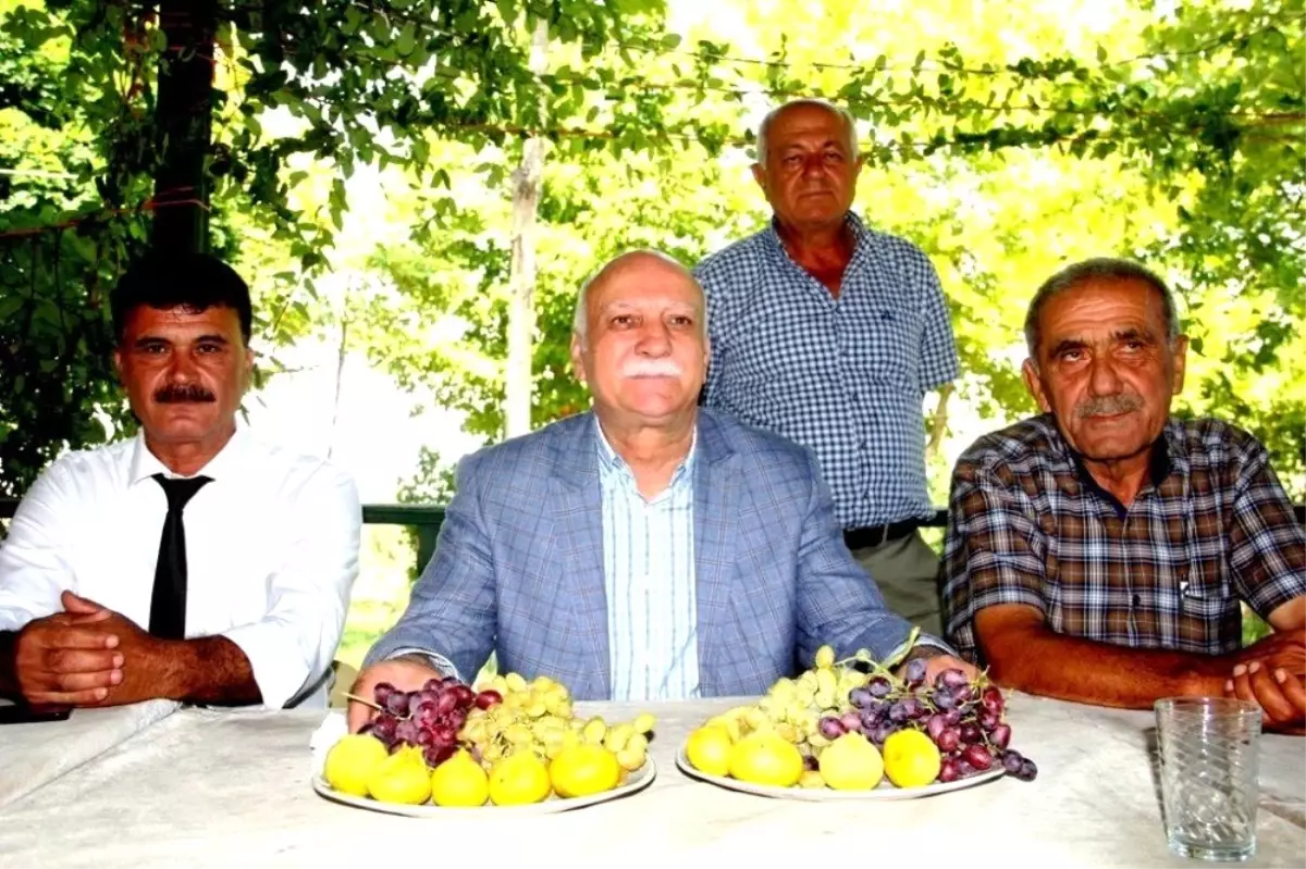 TZOB Başkanı Bayraktar'dan üreticilere dolandırıcılık uyarısı