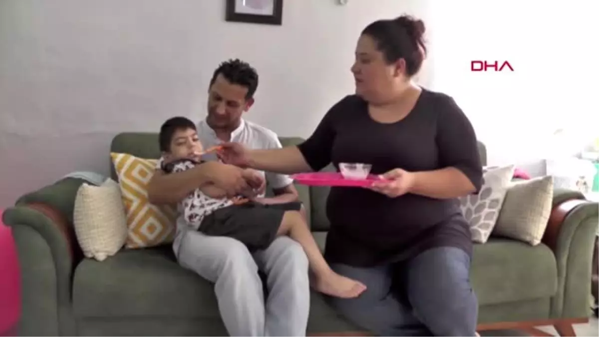 Zeytinde bilinçsiz kostik kullanımı sağlığa zararlı