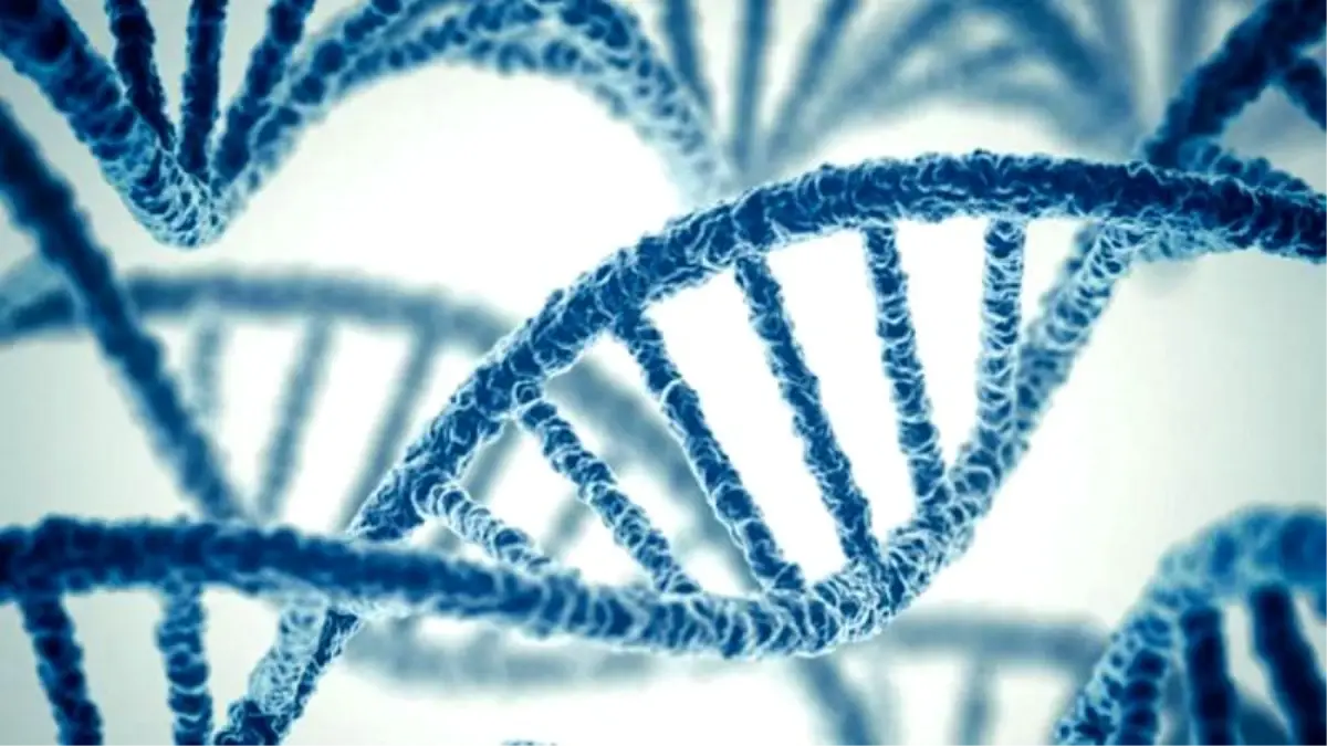 Antik DNA araştırmaları ırkçılık tartışmalarına nasıl zemin hazırlıyor?