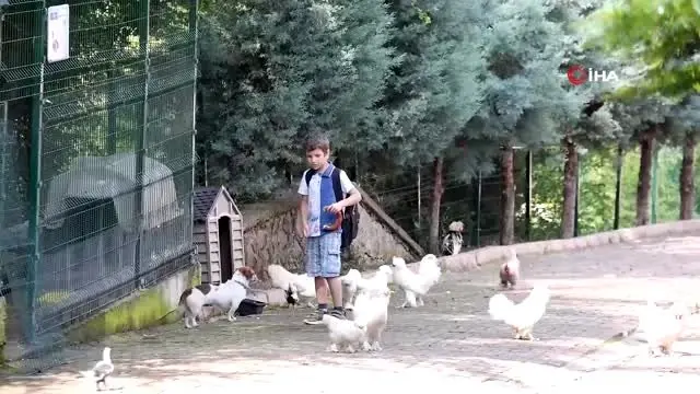 Bakan çağrıda bulundu, eğitim merkezi hayvanat bahçesine döndü