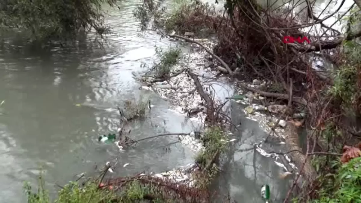 BARTIN Irmağın suyu siyaha büründü, balık ölümleri başladı