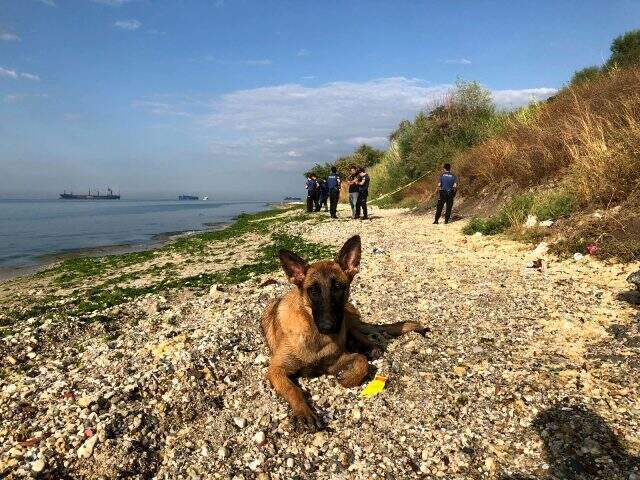 Beylikdüzü Sahili'nde kıyıya poşet içinde bebek cansız bedeni vurdu