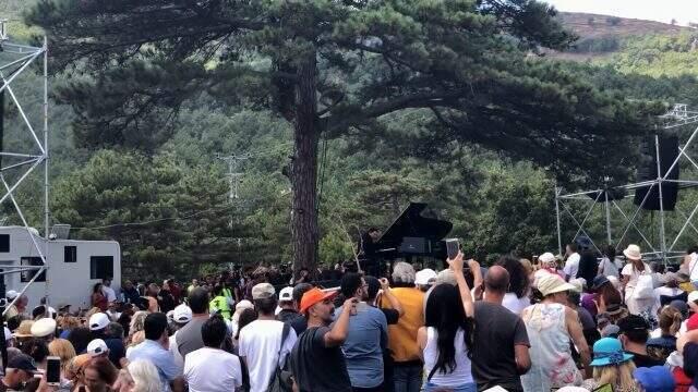 Fazıl Say, Kaz Dağları için konser verdi! Binlerce insan bölgeye akın etti
