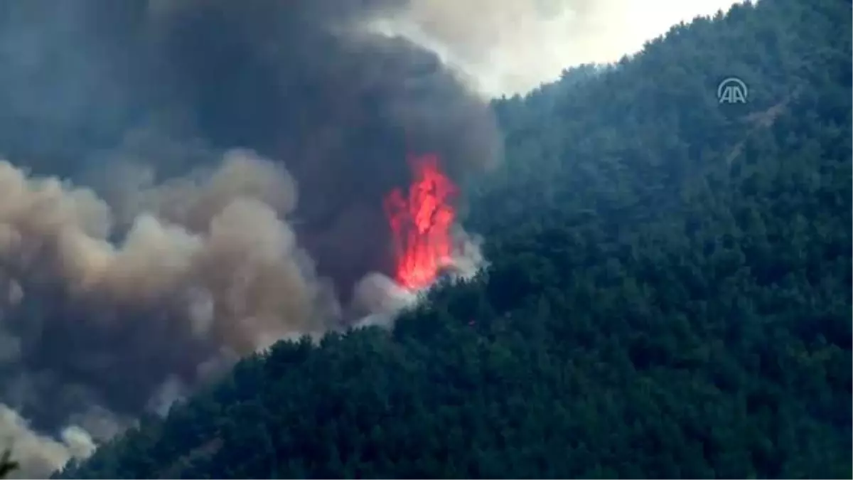 İzmir'de orman yangını (3)