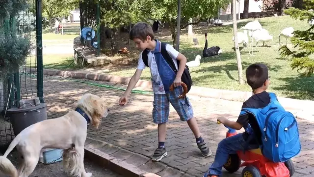 (Özel) Bakan çağrıda bulundu, eğitim merkezi hayvanat bahçesine döndü (Özel) Bakan çağrıda bulundu, eğitim merkezi hayvanat bahçesine döndü