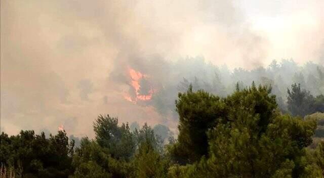 Son dakika! Bakan Pakdemirli İzmir'deki yangın ile ilgili konuştu: Bir köy boşaltılacak