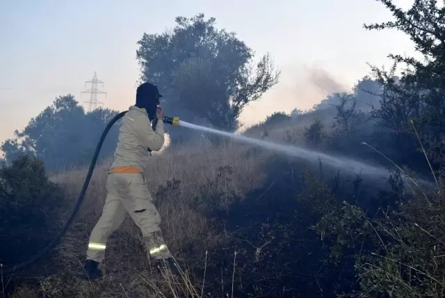 Aliağa'da çıkan yangın korkuttu