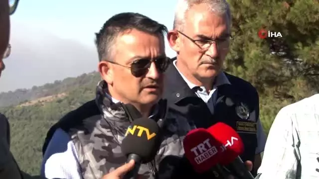 Bakan Pakdemirli'den yangınlar hakkında açıklama