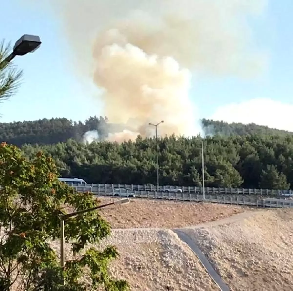 Buca'da çıkan orman yangını söndürüldü