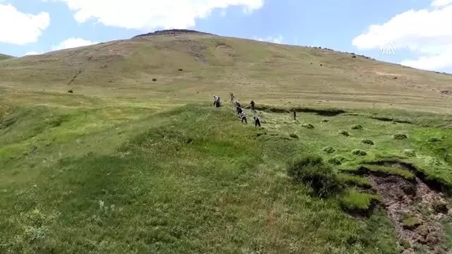 Hayvanları için imece usulüyle dağlardaki otları biçiyorlar - AĞRI Hayvanları için imece usulüyle dağlardaki otları biçiyorlar - AĞRI