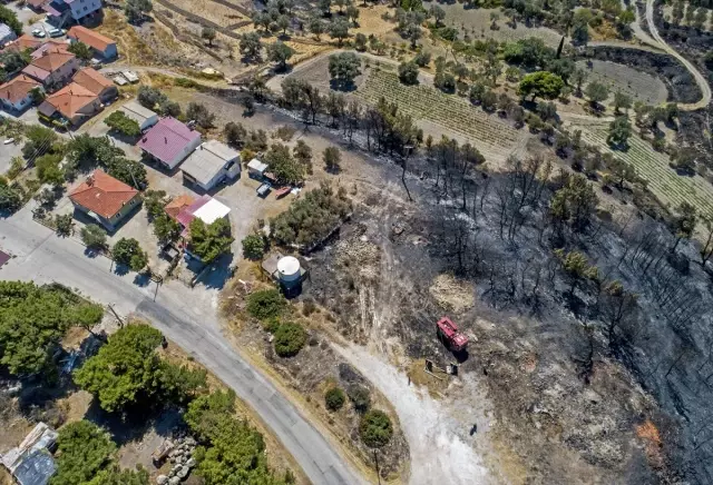 İzmir'de yanan ormanlık alanlar havadan görüntülendi