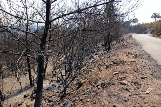 İzmir'de yangını söndürme çalışmaları sürüyor İzmir'de yangını söndürme çalışmaları sürüyor