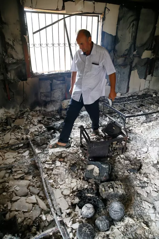 İzmir�deki orman yangını haberi fotografı, fotografları