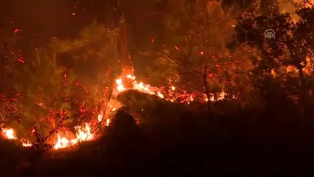 İzmir'deki orman yangını İzmir'deki orman yangını