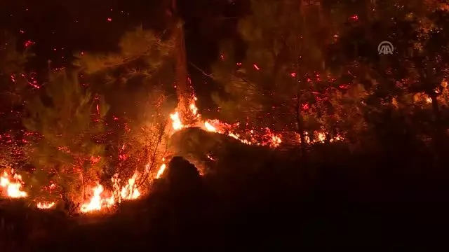 İzmir'deki orman yangını İzmir'deki orman yangını
