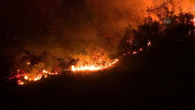 İzmir'deki orman yangını İzmir'deki orman yangını