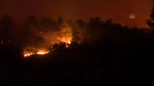 İzmir'deki orman yangını İzmir'deki orman yangını