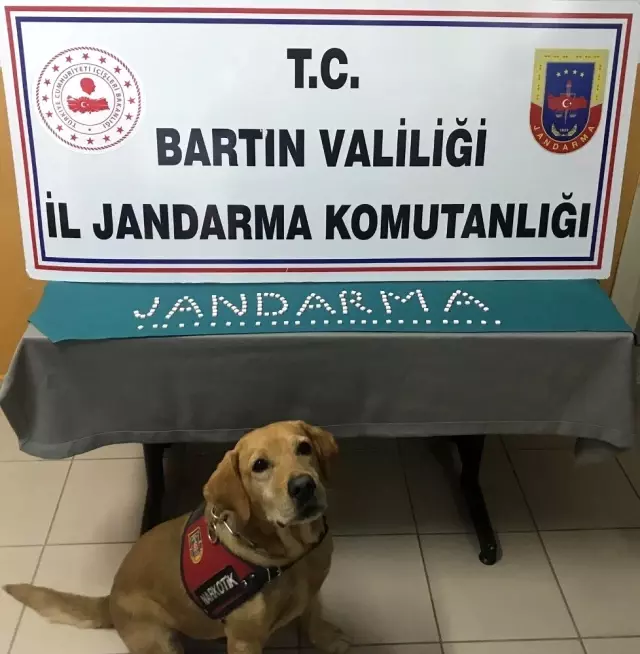Jandarmadan uyuşturucu operasyonu