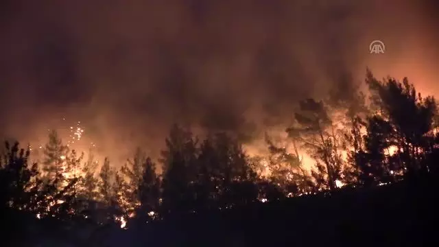 Karabağlar'da başlayan orman yangını iki mahalleye yaklaştı Karabağlar'da başlayan orman yangını iki mahalleye yaklaştı