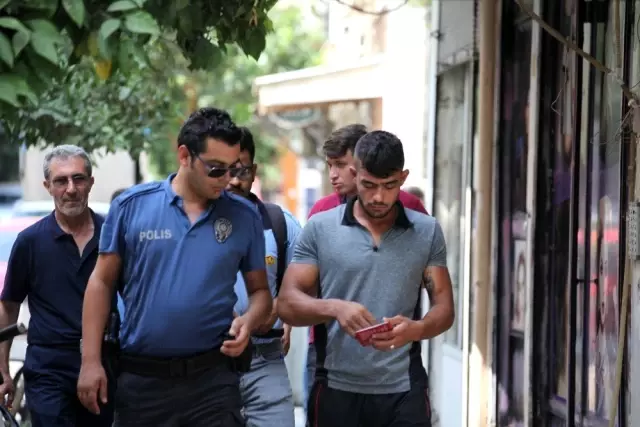 Kent merkezine getirilen domuz görenleri korkuttu Kent merkezine getirilen domuz görenleri korkuttu