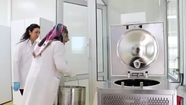 Nesli tükenmekte olan bitkiler laboratuvarda yetiştiriliyor Nesli tükenmekte olan bitkiler laboratuvarda yetiştiriliyor