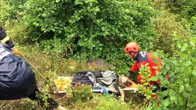 Ordu'da uçuruma düşen köpeği itfaiye ekipleri kurtardı