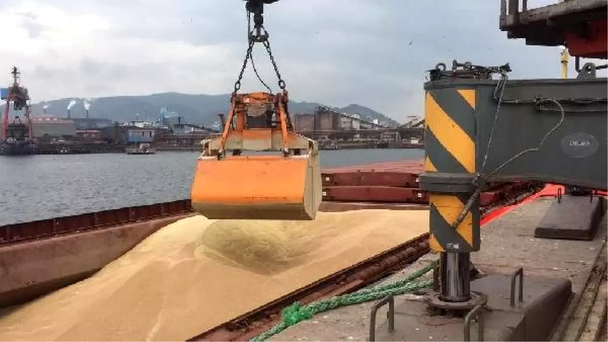 Rusya'dan Ereğli limanına gelen buğday, Ankara'ya gönderildi