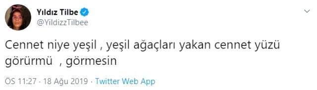 Yıldız Tilbe, peş peşe çıkan orman yangınlarına sitem etti