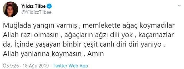 Yıldız Tilbe, peş peşe çıkan orman yangınlarına sitem etti