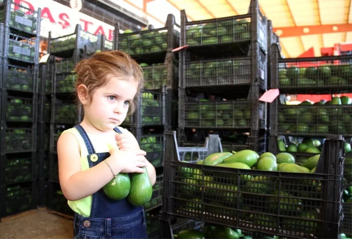 Alanya'dan Ukrayna'ya 3.5 ton avokado ihracatı
