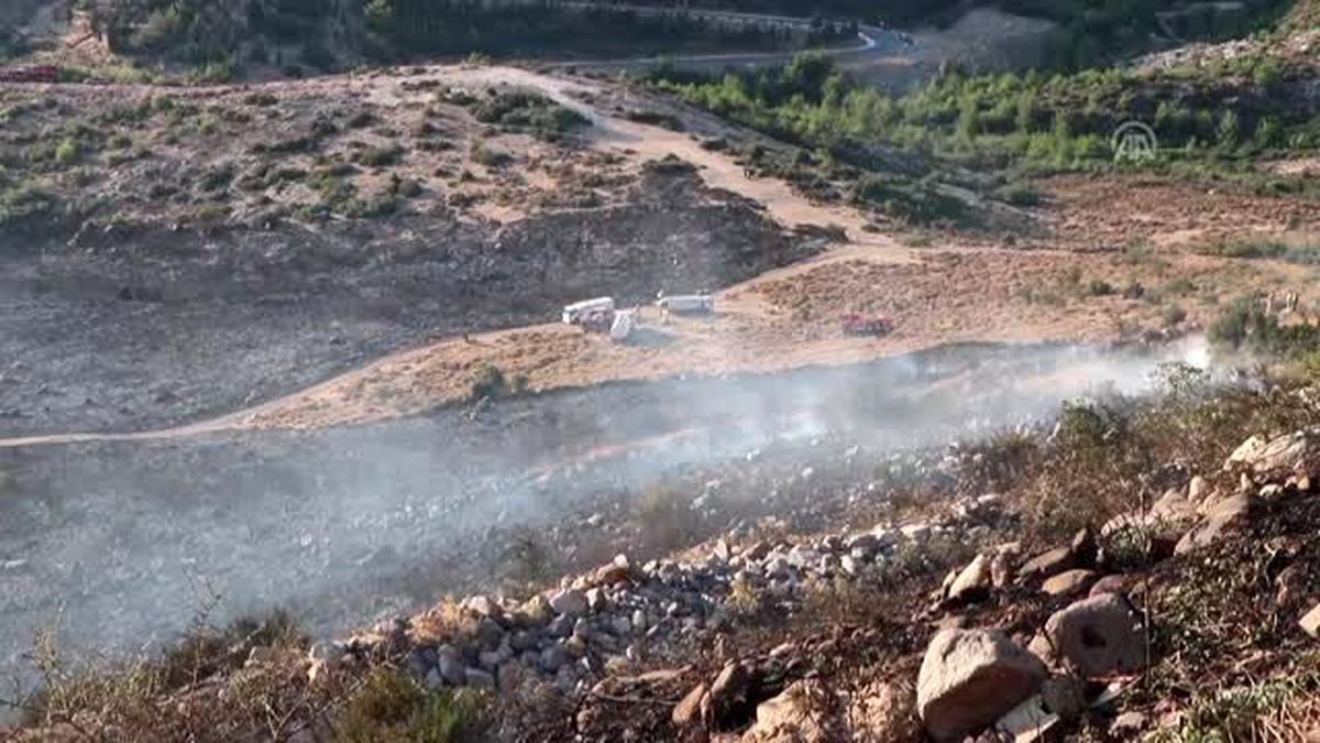 İzmir'de orman yangını