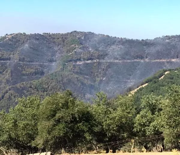 İzmir'de yangın: 15 kilometrelik alana ulaştı, köylere ulaşması engellendi İzmir'de yangın: 15 kilometrelik alana ulaştı, köylere ulaşması engellendi