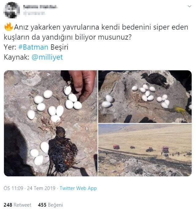 İzmir diye paylaştılar, Batman çıktı! Yanmış kuş fotoğrafı sosyal medyada gündem yarattı