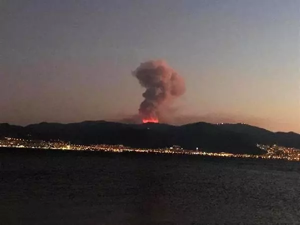 İzmir kulüplerinden ağaç seferberliği