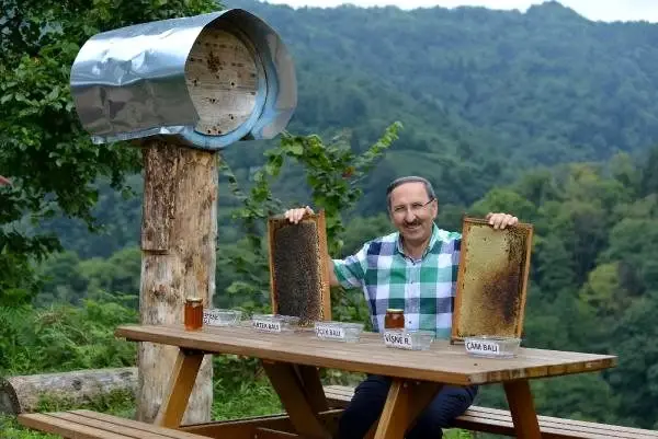 Arıcının bal testine tuttuğu ayılar, anzer balını tercih etti Arıcının bal testine tuttuğu ayılar, anzer balını tercih etti